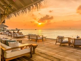 beach bar